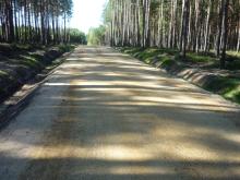 Przebudowa drogi leśnej nr 46 - II etap