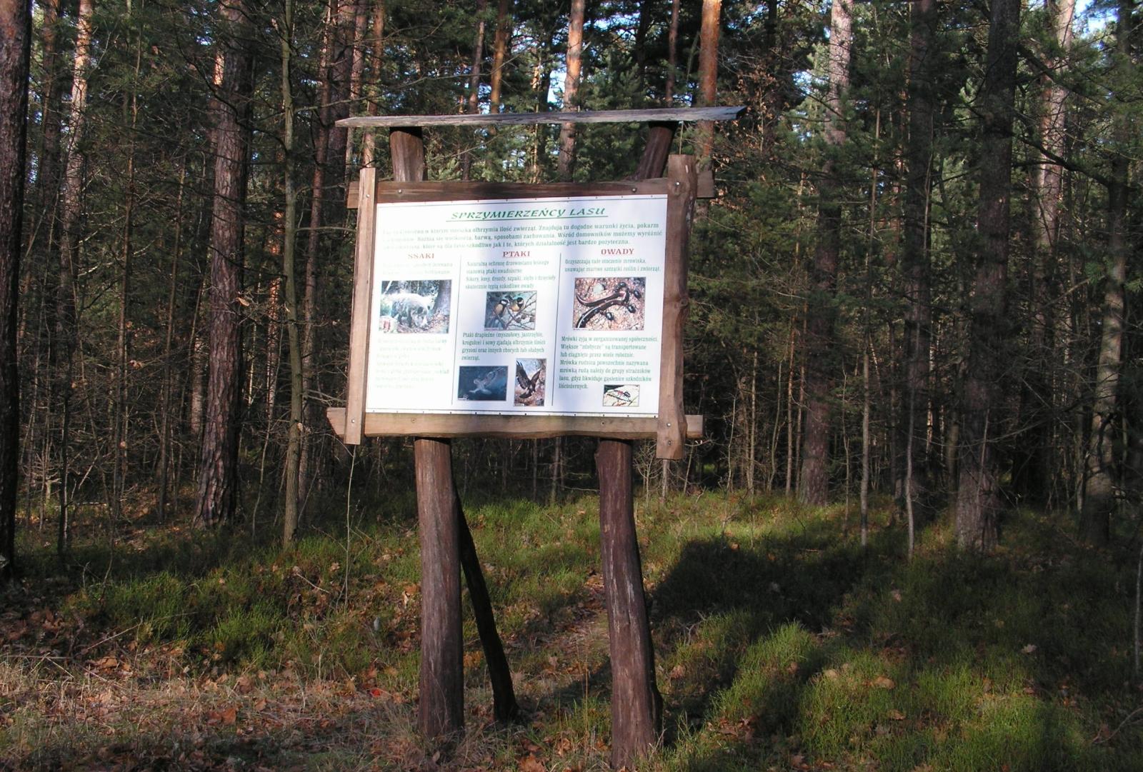 Jedna ze ścieżek edukacyjnych (Fot. M.  Wawrzynek)