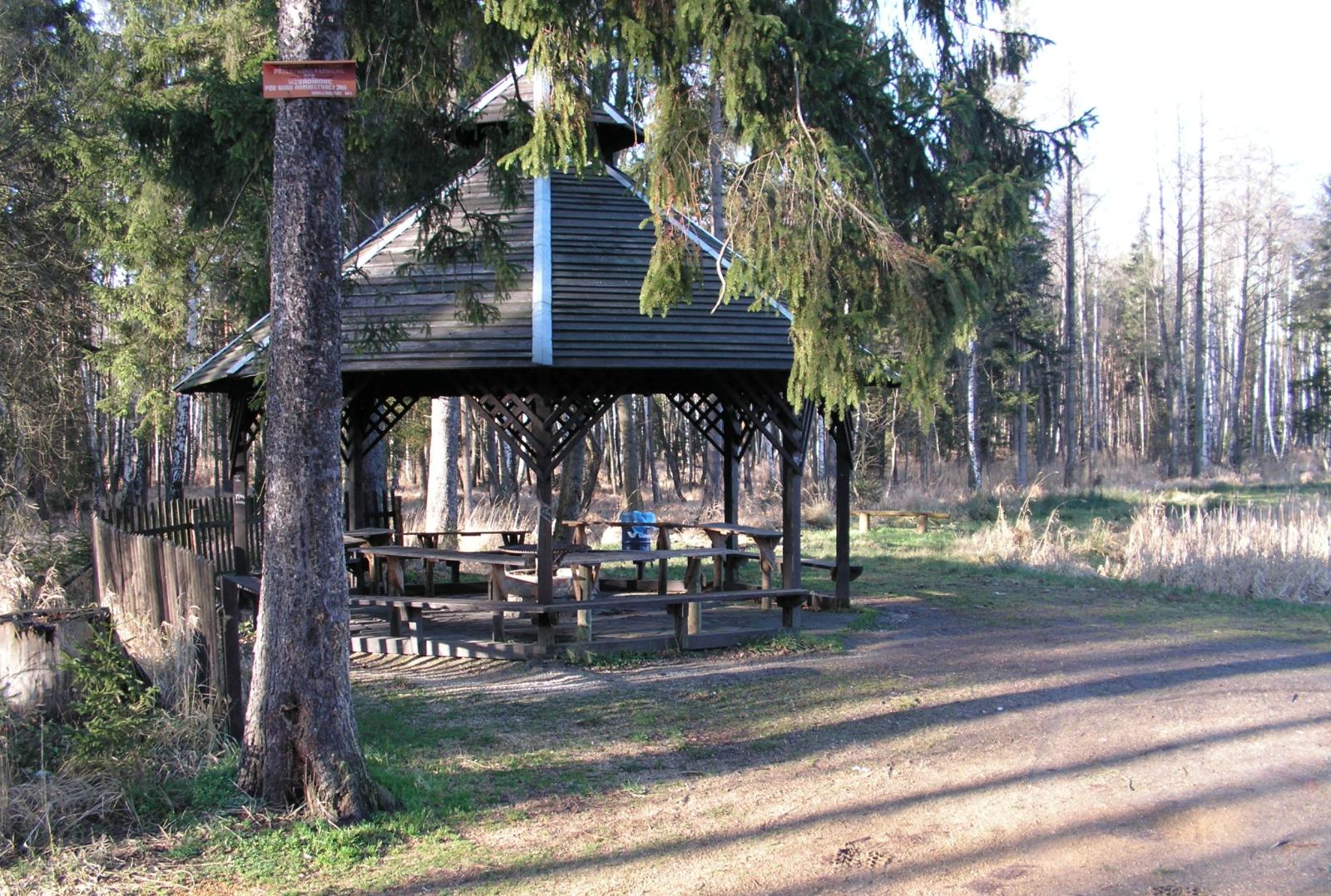 Miejsce odpoczynku w Leśnictwie Węglowiec (Fot. Marek Wawrzynek)