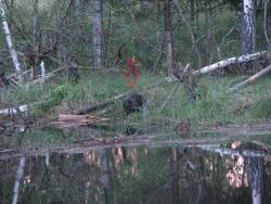 Fot. Jerzy Zieliński