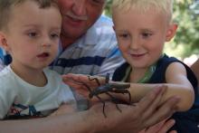 ŚWIĘTO GRZYBÓW 2016 R.