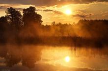Regulamin amatorskiego połowu ryb nad stawem "Tartacznym"