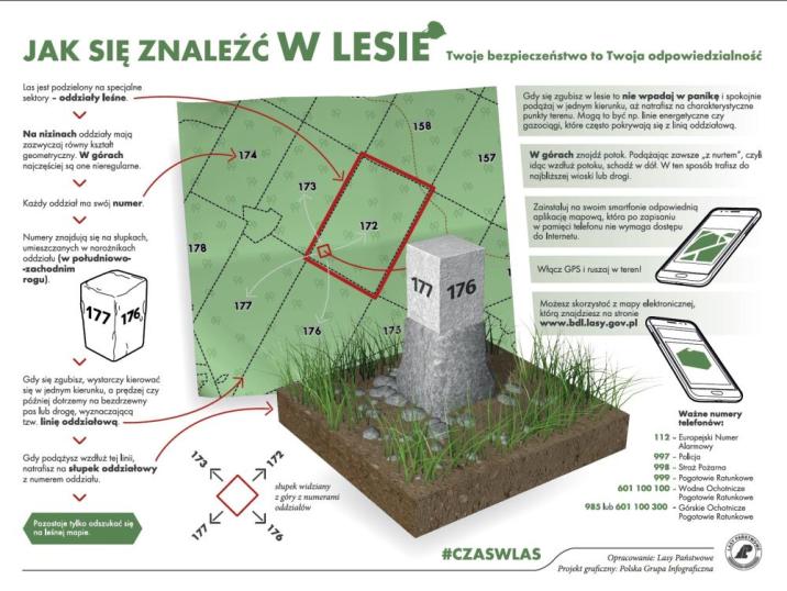 Jak odnaleźć się w lesie