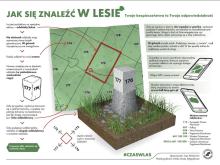 Bezpieczna wyprawa do lasu