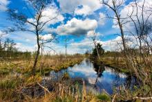 Światowy Dzień Mokradeł 2026